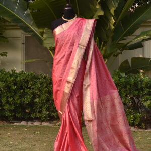 Blush pink banarsi silk saari with gold zari border and pallu